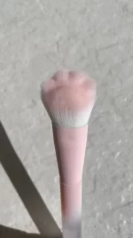 براش رژگونه پنجه گربه ای شیگلم - Image 3