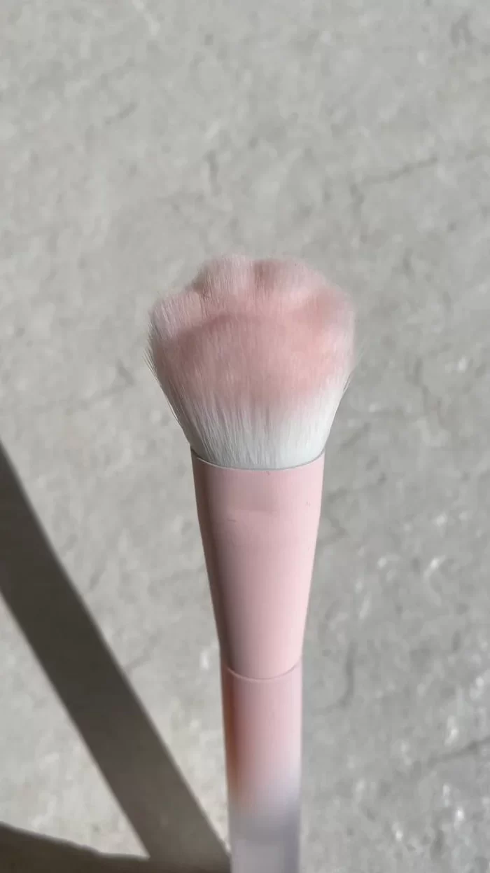 براش رژگونه پنجه گربه ای شیگلم - Image 3